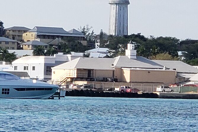 Half-Day Guided Boat Tour of Nassau Harbour and Rose Island - Food, Drinks, and the Included Extras That Save Money