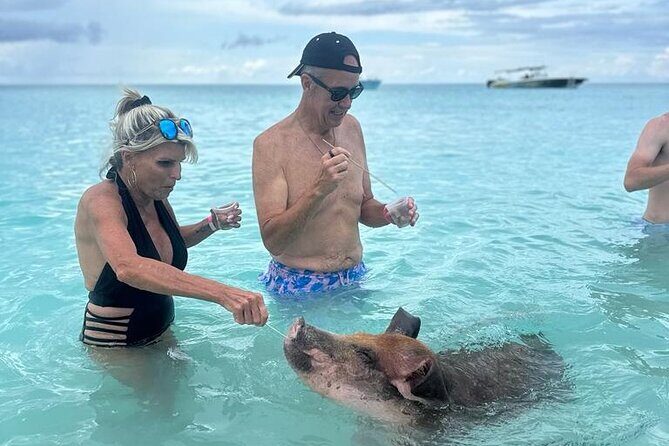 Half Day Swimming Pigs on Rose Island, Snorkeling and Lunch - Footprints beach bar lunch: where the day slows just enough