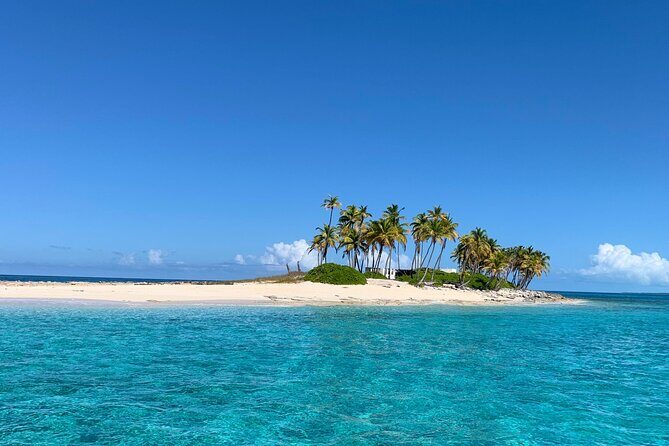 Half Day Swimming Pigs on Rose Island, Snorkeling and Lunch - Price and value: what $279 really buys you here