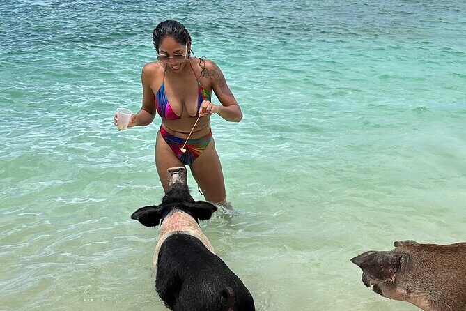 Luxury Catamaran Cruise: Sip, Sail, Snorkel, and Swim with Pigs! - Key highlights before you go