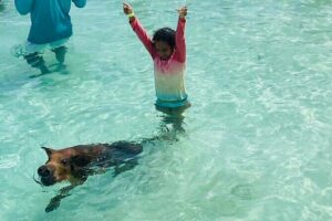 Luxury Catamaran Cruise: Sip, Sail, Snorkel, and Swim with Pigs! - Price and value: what $225 buys you in the Bahamas