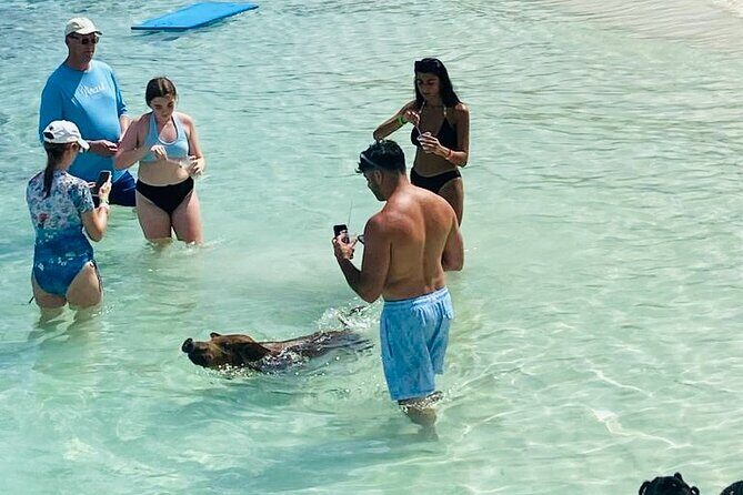 Luxury Catamaran Cruise: Sip, Sail, Snorkel, and Swim with Pigs! - The Sandy Cay photo op (Gilligan’s Island look-alike)