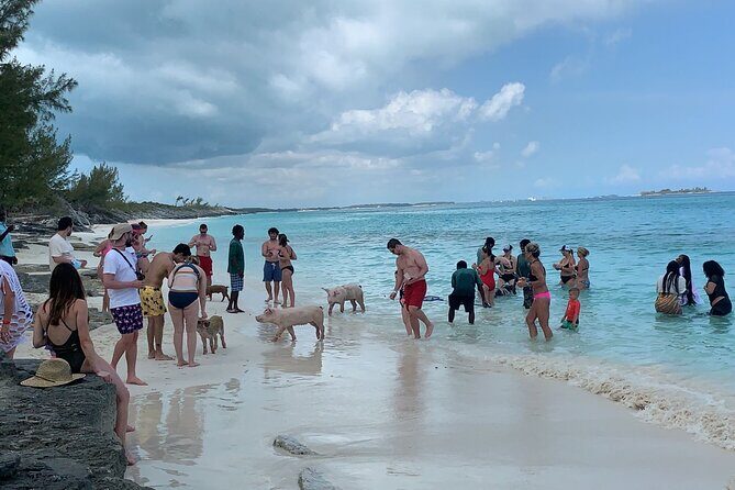 Nas: 3 islands Tour ,snorkel, Turtles, pigs and lunch - Who should book this 3-islands tour (and who should skip it)