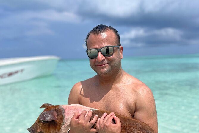 Nassau: 3 islands Pigs,Turtles,Snorkel & Beach Club with lunch - Stop 2: Athol Island Pigs Swim and Piglet Photo Moments