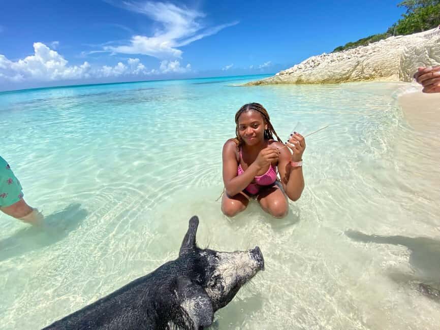 Nassau: 3 Islands Tour, Snorkel, Pig Beach, Turtles & Lunch - How This Nassau Islands Loop Gets You More Island Time