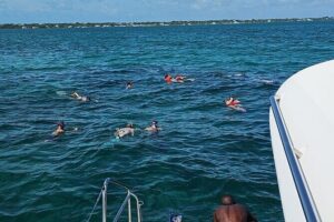 Nassau 3-stops: Snorkeling, Swimming Pigs, Turtles & Lunch - Stop 2: Green Cay turtle chances and a smarter way to scan the water