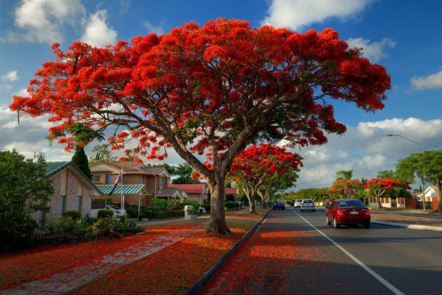 Nassau: ATV Guided Tour - Arawak Cay: live music streets and real-food energy
