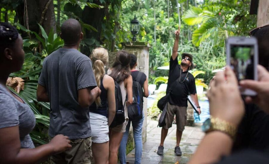 Nassau: Bites and Sites Food and Cultural Walking Tour - Key things that make this Nassau tour worth your time