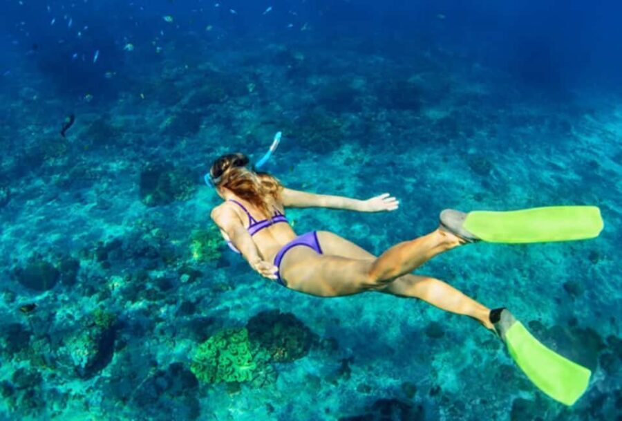 Nassau: Catamaran Sail and Snorkel Tour - Key Things I’d Lock In Before You Go