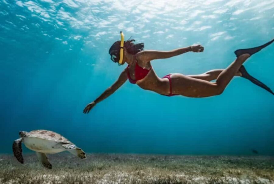 Nassau: Catamaran Sail and Snorkel Tour - Open Bar After Snorkeling: Rum Punch and the Timing Rule
