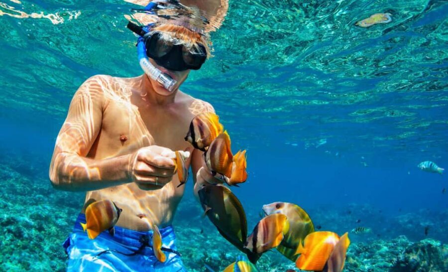 Nassau: Catamaran Sail and Snorkel Tour - What to Bring (and What to Skip)