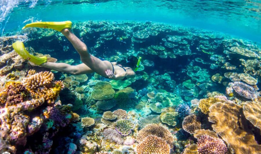 Nassau: Catamaran Sail and Snorkel Tour - Who This Tour Is Best For (and Who Might Want a Different Option)