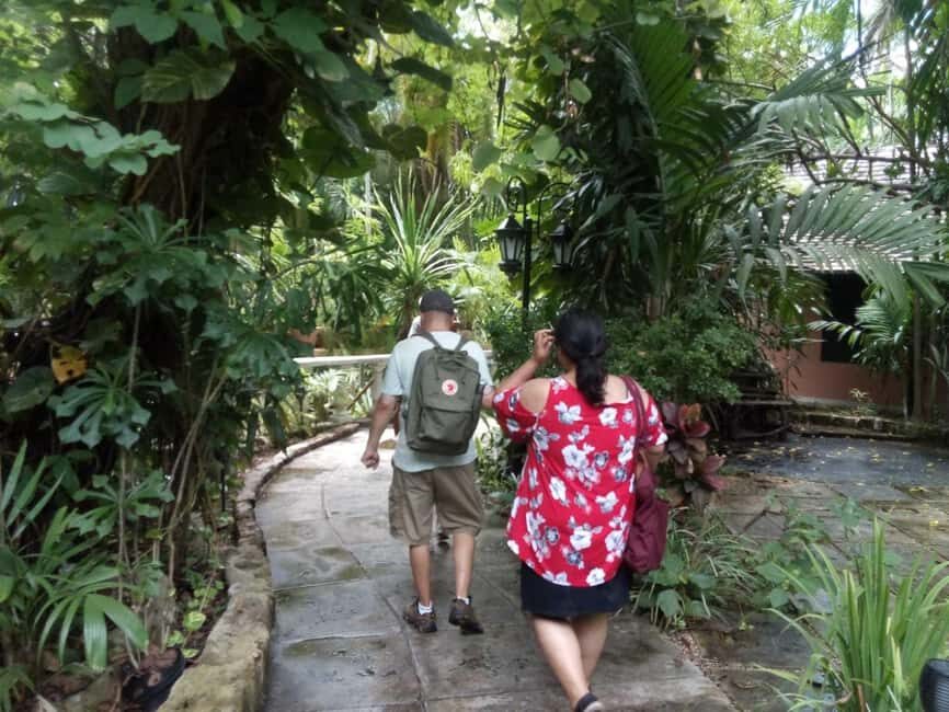 Nassau: Cultural Walking Tour of Downtown Nassau Attractions - Downtown Nassau on foot: what this 3-hour culture walk really delivers