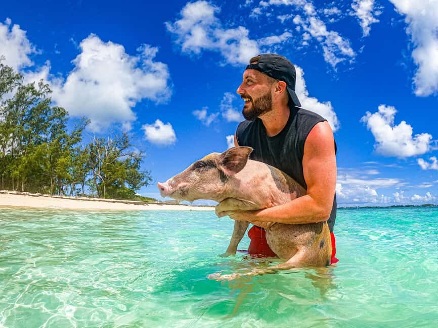 Nassau: Pigs Beach Trip by Boat with Swimming and Feeding - Quick Take: SunCay’s Pig Beach and Pearl Island Mix