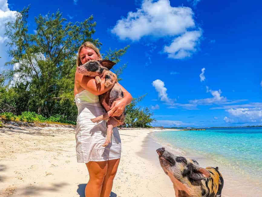 Nassau: Pigs Beach Trip by Boat with Swimming and Feeding - Who This Trip Is Best For (and Who Should Skip It)