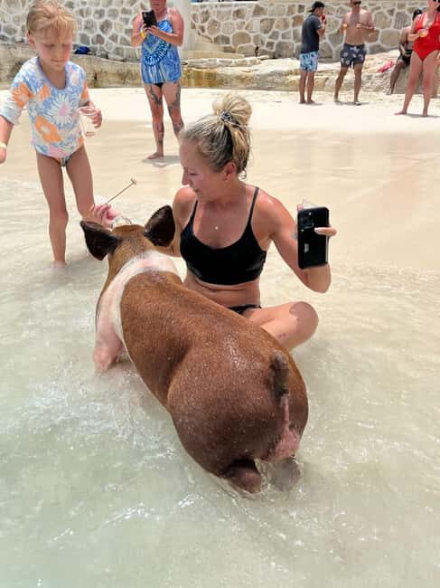 Nassau: Pigs, Snorkel, Turtles, Lunch, Private Beach Club - Nassau in Four Hours: Why This Tour Works