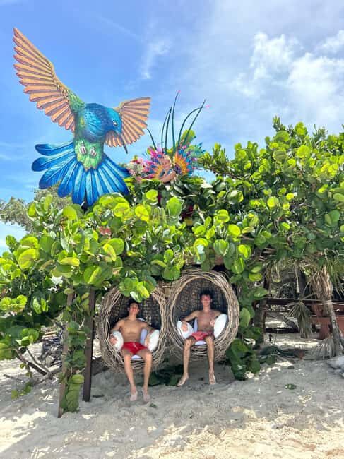 Nassau: Pigs, Snorkel, Turtles, Lunch, Private Beach Club - Da Nest, Kamalame Showers, Aviary, and Other Little Comforts