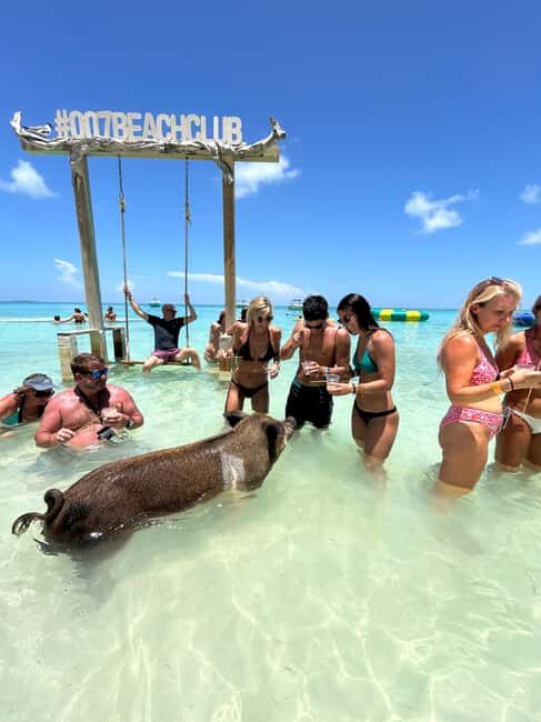 Nassau: Pigs, Snorkel, Turtles, Lunch, Private Beach Club - Snorkeling Between Pearl and Rose Islands: What You Can Expect