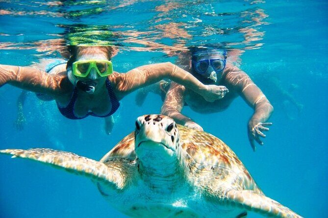 Nassau: Private Island & Snorkeling, Turtles, Drinks, & BBQ - The Private-Island Feeling: Why This Works So Well From Nassau