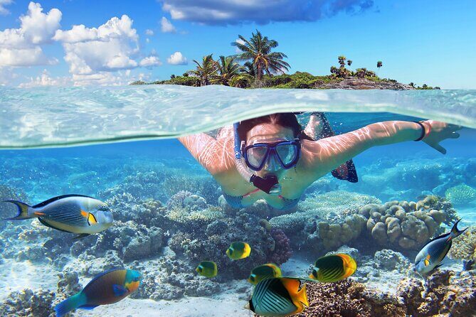 Nassau: Private Island & Snorkeling, Turtles, Drinks, & BBQ - Speedboat to Green Turtle Cay: How the 4-Hour Rhythm Feels