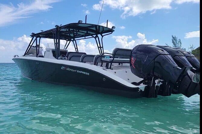 Nassau: Private Island & Snorkeling, Turtles, Drinks, & BBQ - Green Cay Turtle Viewing: What You’ll See (and What You Can’t Do)