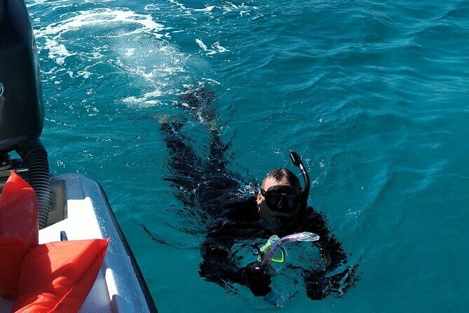 Nassau: Private Island & Snorkeling, Turtles, Drinks, & BBQ - Price and Value at $153: What You Get for a Short Nassau Window