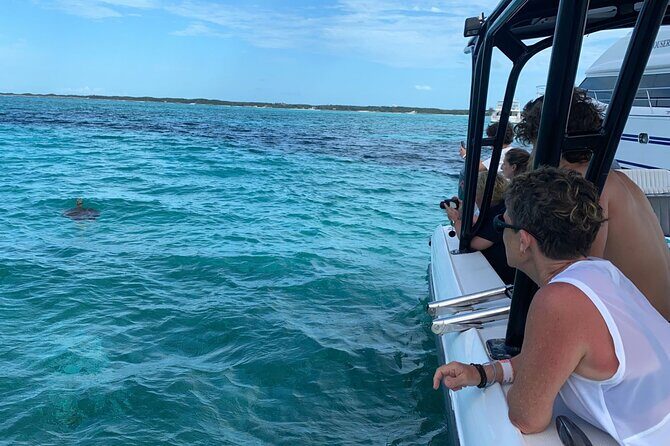 Nassau: Private Island & Snorkeling, Turtles, Drinks, & BBQ - Pearl Island Snorkeling Stop: Timing, Gear, and Expectation Checks