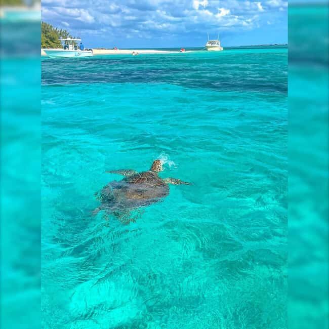 Nassau: Rose 3-Island Tour with Snorkeling and Lunch - Lunch, drinks, and snacks: what you’re actually paying for