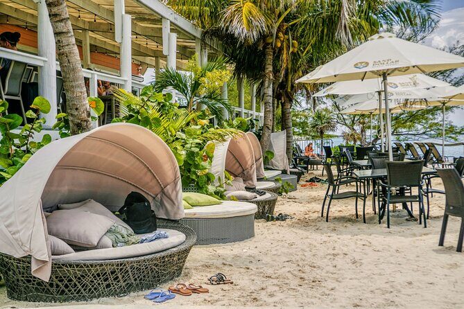 Nassau: ROSE ISLAND PERFECT BEACH DAY GROUP GETAWAY - Swimming Pigs Encounter: The Extra Fee, and What Makes It Memorable