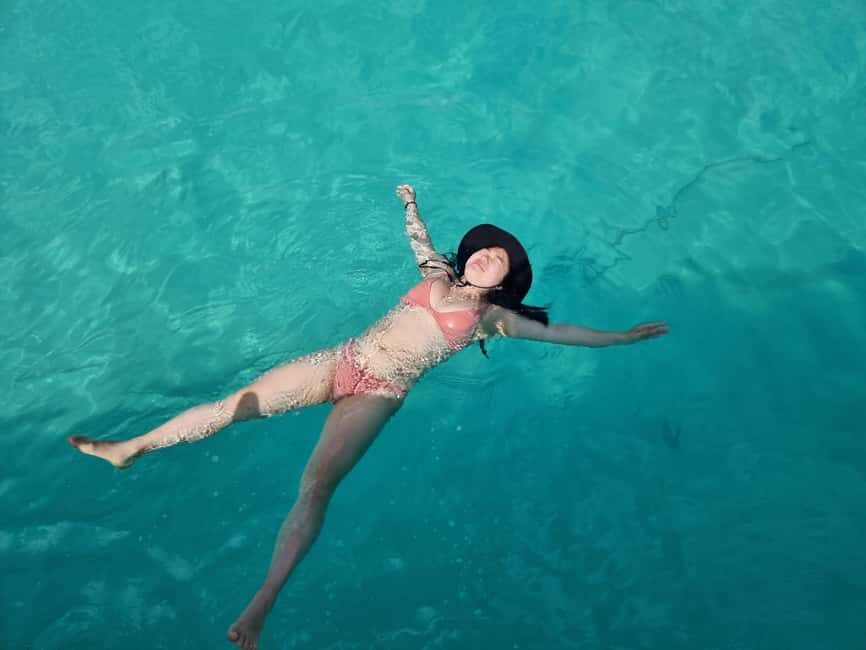 Nassau: Rose Island Swimming Pigs & Turtles Snorkeling Tour - Price and value: is $127 a fair deal?
