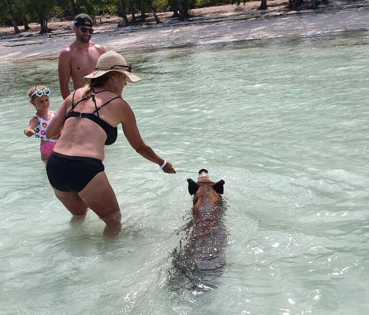 Nassau: Rose Island Swimming Pigs & Turtles Snorkeling Tour - Who should book this Rose Island pigs and turtles tour (and who shouldn’t)