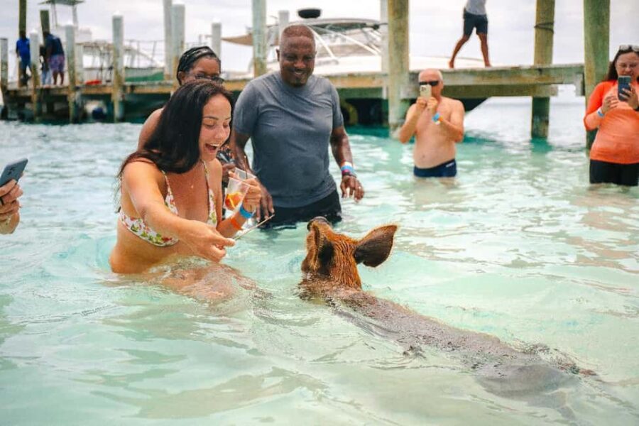 Nassau: Rose Island's Sand Dollar Beach Resort - Key Points to Know Before You Go