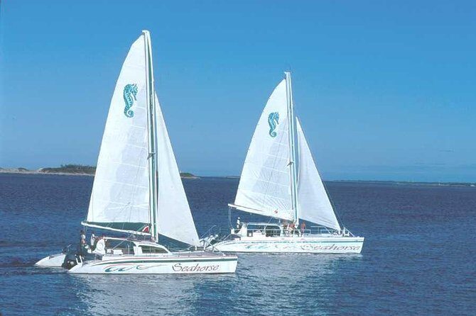 Nassau Sail & Snorkel Adventure with 1 Hour Open Bar - Meeting point and transportation: Paradise Island is the key