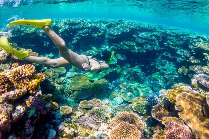 Nassau Sail & Snorkel Adventure with 1 Hour Open Bar - The open bar on the return cruise: what’s actually included