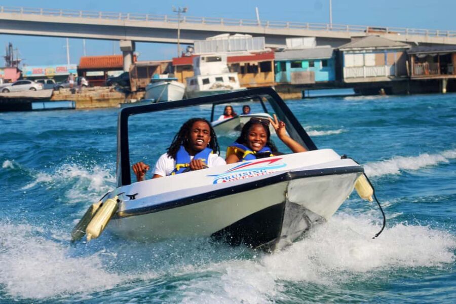 Nassau: Self-Drive Speedboat Ride and Pig Swimming Encounter - Nassau speedboat freedom meets Anthol Island pig magic