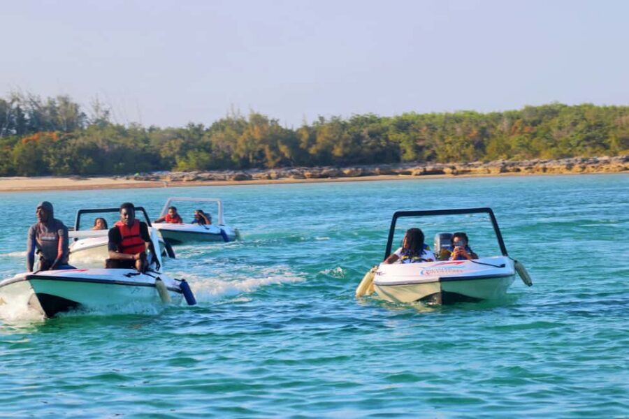 Nassau: Self-Drive Speedboat Ride and Pig Swimming Encounter - Timing, weather, and cruise-day logistics that can make or break it