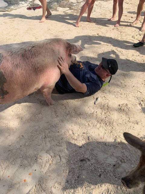Nassau: Self-Drive Speedboat Ride and Pig Swimming Encounter - Who this Nassau speedboat and pig swim suits best