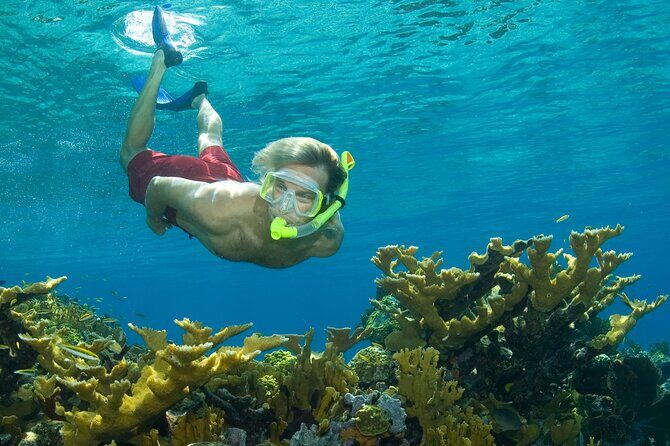 Nassau Shore Excursion: Bahamas Snorkel Adventure - Key Points at a Glance