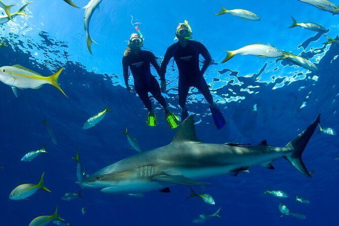 Nassau Shore Excursion: Bahamas Snorkel Adventure - Group Size, Crowding, and Why the Boat Ride Can Matter