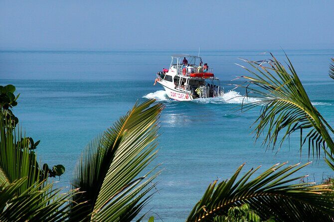 Nassau Shore Excursion: Bahamas Snorkel Adventure - Who This Shore Excursion Fits Best