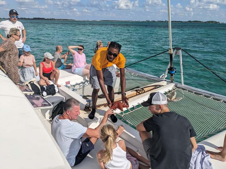 Nassau: Snorkeling, Pig Beach, Swim with Turtles, and Lunch - Nassau by catamaran: why this day feels different