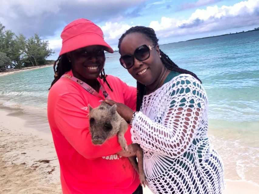 Nassau: Snorkeling, Pig Beach, Swim with Turtles, and Lunch - Rose Island and Pig Beach: the pig moment you’ll remember