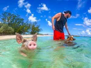 Nassau: Sun Cay and Swimming Pigs Boat Trip with Lunch - Pig Beach and the swimming pigs: how the 40 minutes really feels