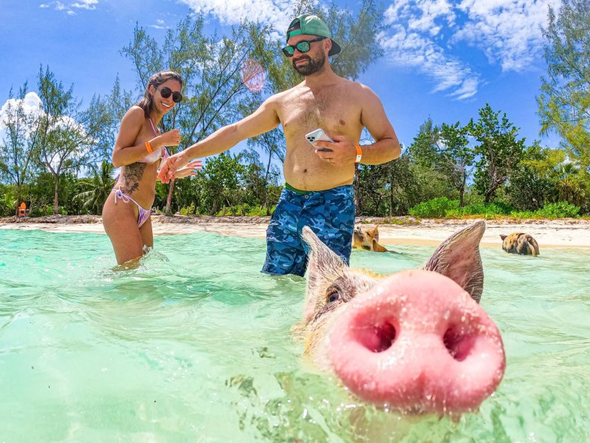 Nassau: Sun Cay and Swimming Pigs Boat Trip with Lunch - Price and value: is $179 per person worth it?
