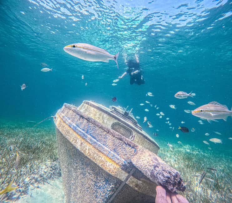Nassau: Sun Cay Day Trip, Snorkel, Iguana Encounter, & Lunch - Getting to SunCay: Nassau boat transfer and check-in reality