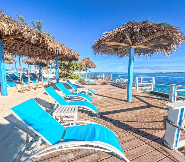 Nassau: Sun Cay Day Trip, Snorkel, Iguana Encounter, & Lunch - Iguana Habitat encounter: a short guided wildlife moment