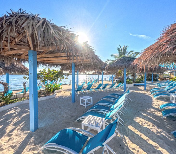 Nassau: Sun Cay Day Trip, Snorkel, Iguana Encounter, & Lunch - Who should book (and who should skip)