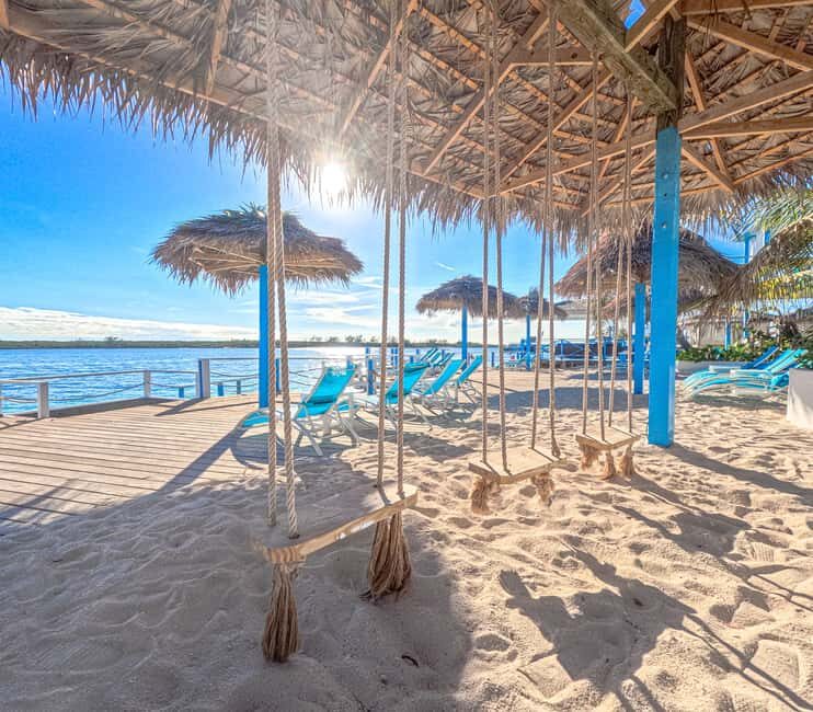 Nassau: Sun Cay Day Trip, Snorkel, Iguana Encounter, & Lunch - Snorkeling over shipwrecks, pirate sculptures, and an underwater plane