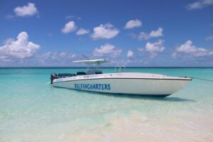 Nassau: Swimming Pigs And Snorkel With Turtles - Green Cay snorkel stop: turtles in the shallow, beginner-friendly setup