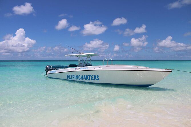 Nassau: Swimming Pigs And Snorkel With Turtles - Green Cay snorkel stop: turtles in the shallow, beginner-friendly setup